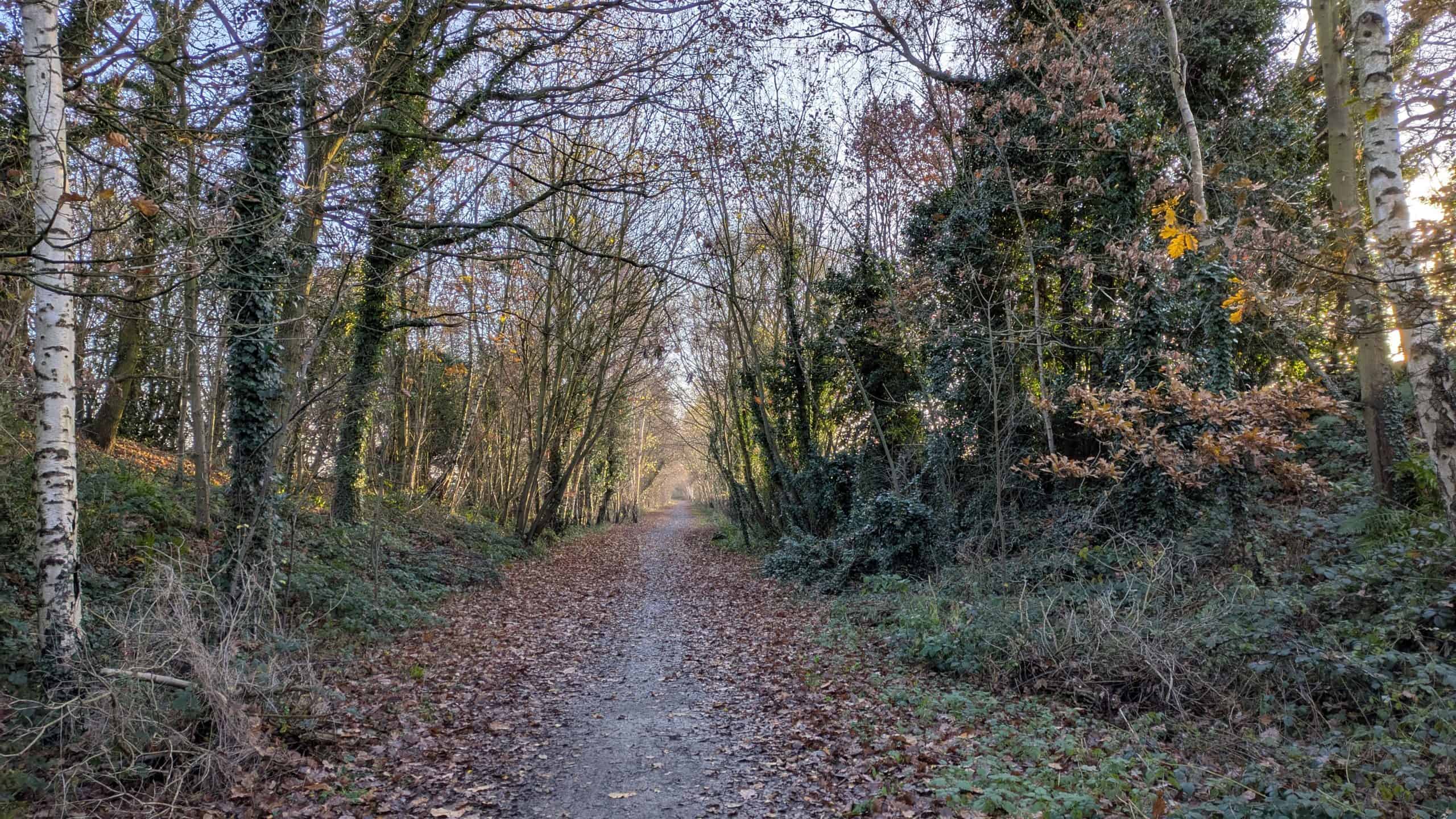 Trans Pennine Trail Chapelthorpe to Royston