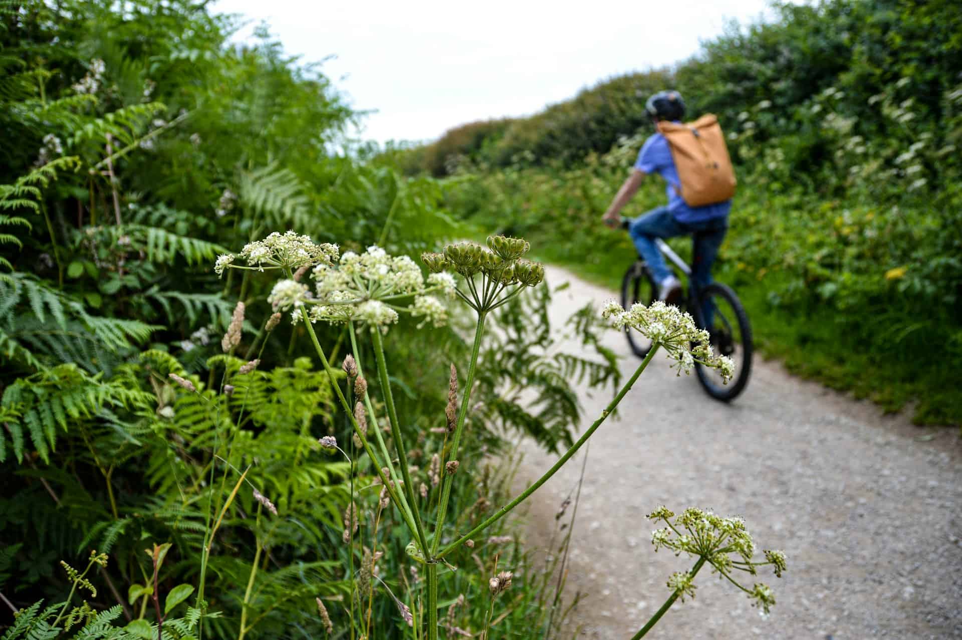 Cycling Infrastructure For Family Cycling