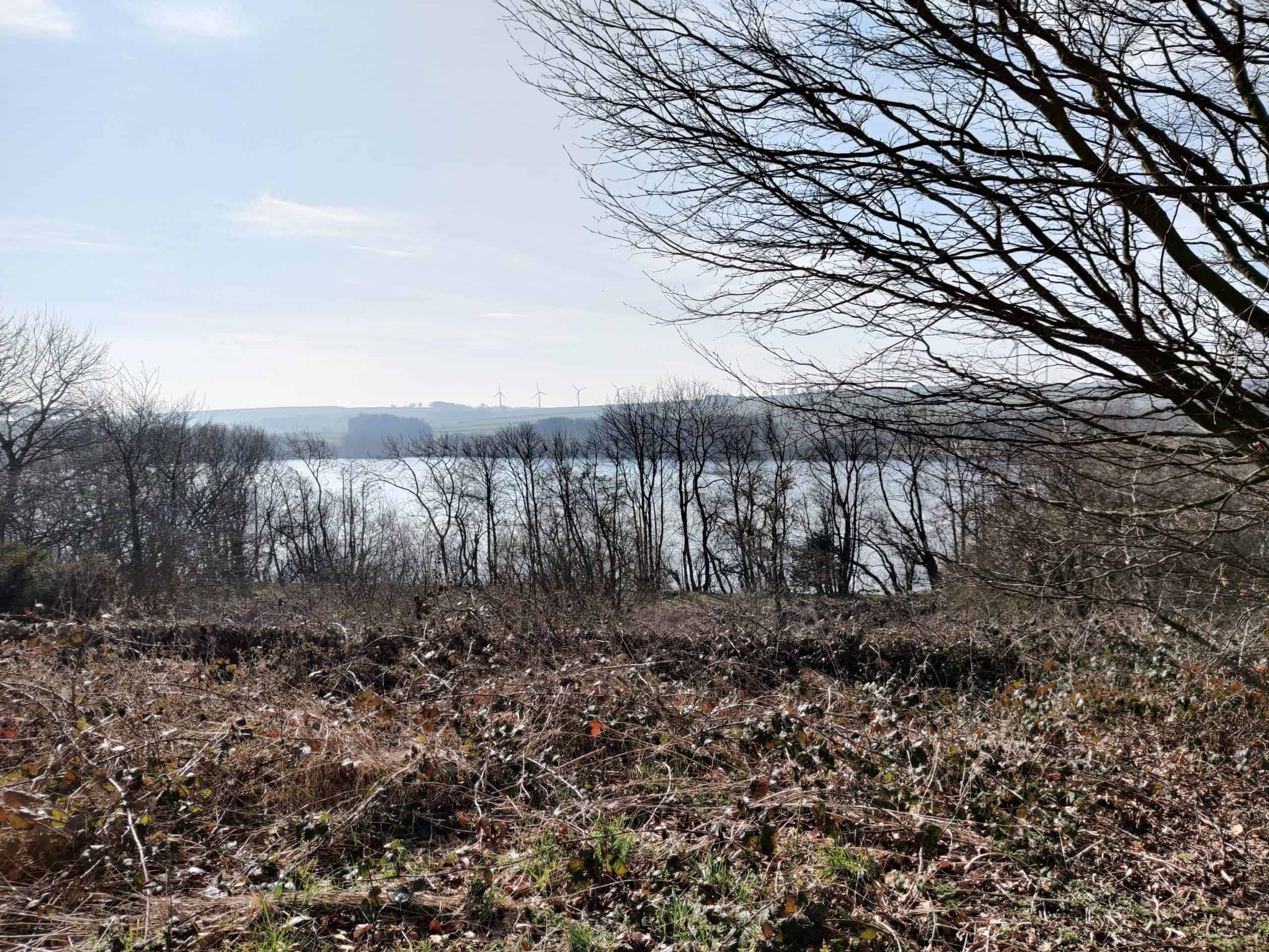 Ingbirchworth Reservoir