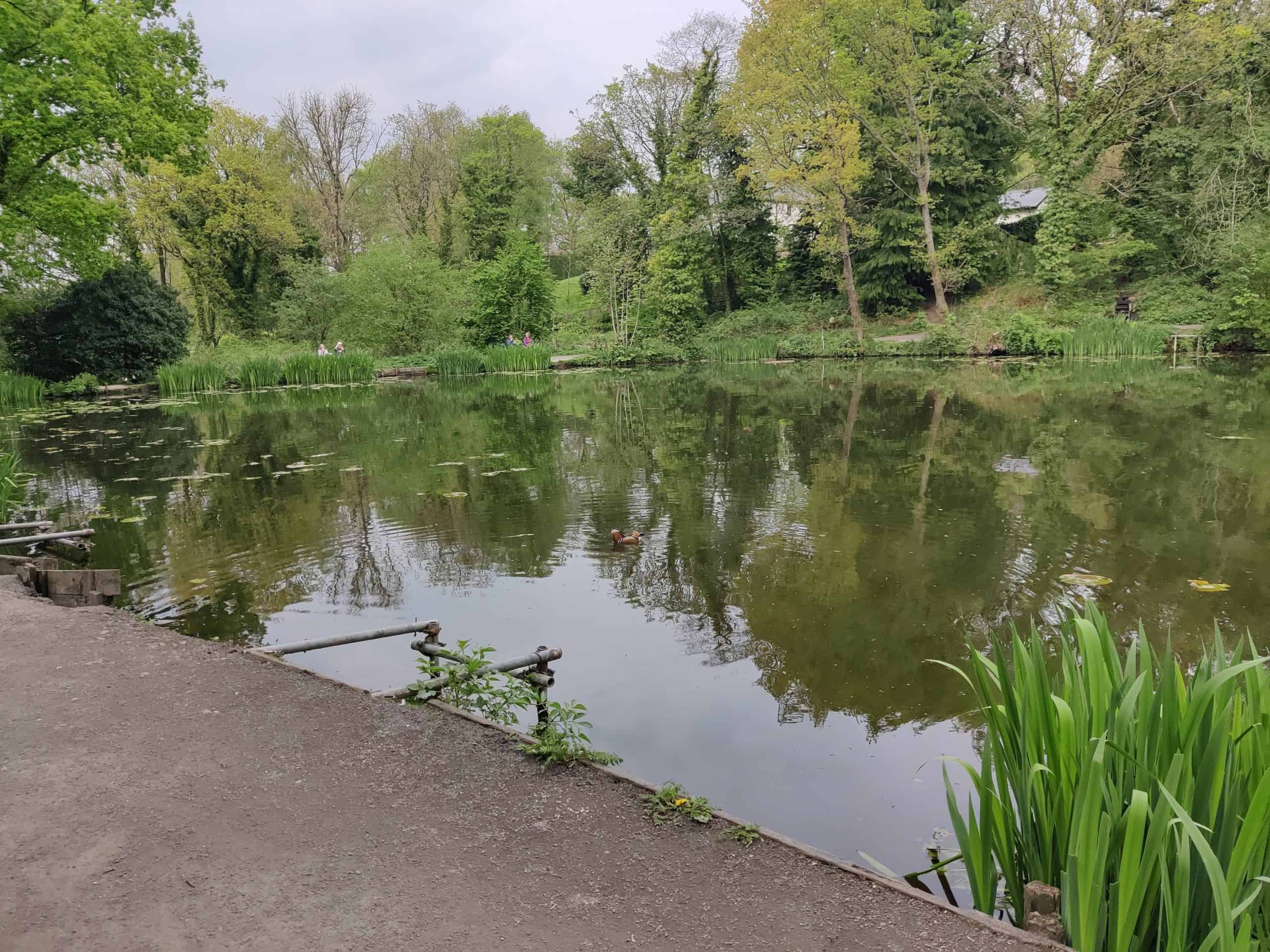 Yarrow Valley Country Park